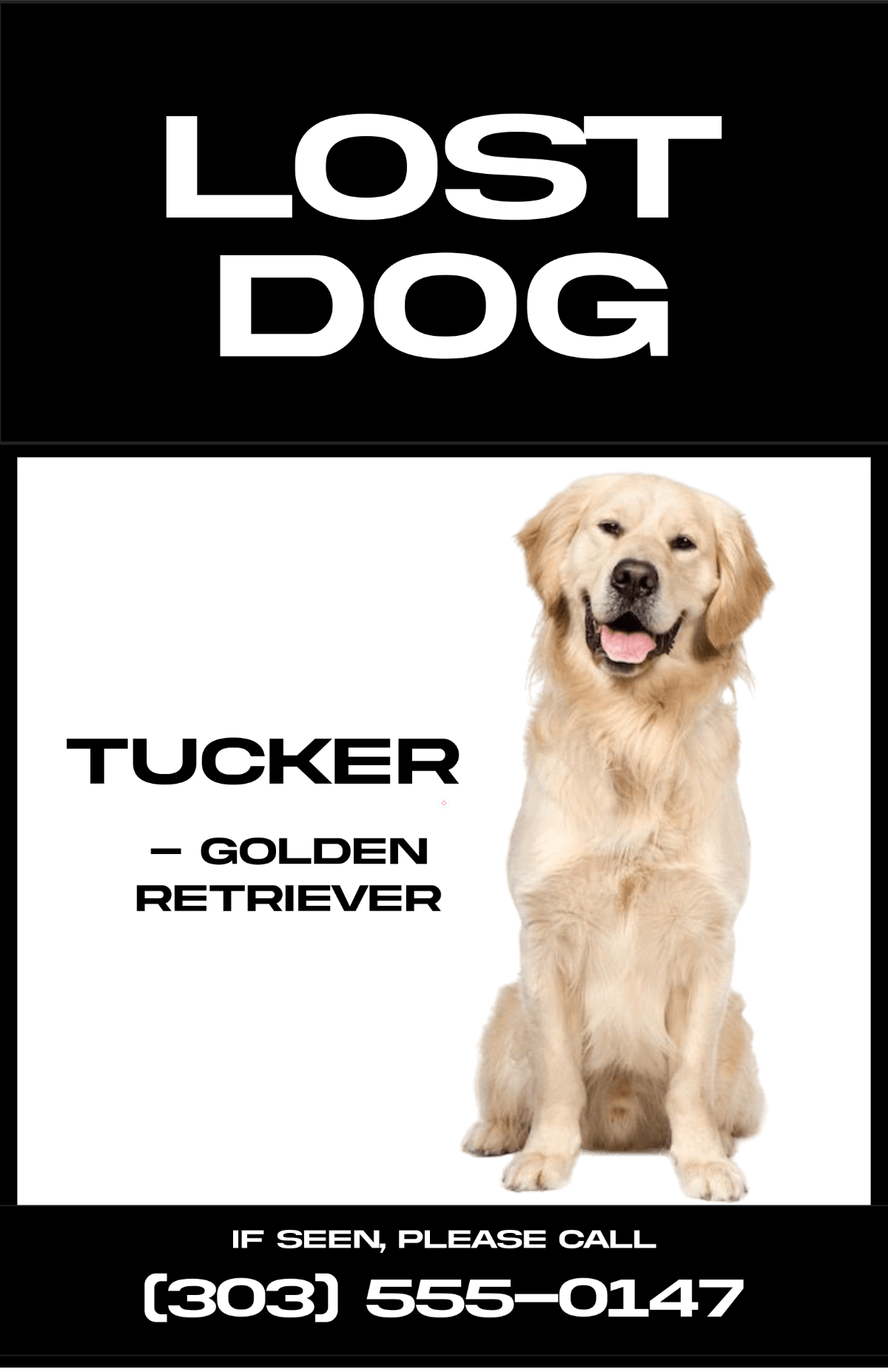 Free Black and White Lost Dog Poster Template