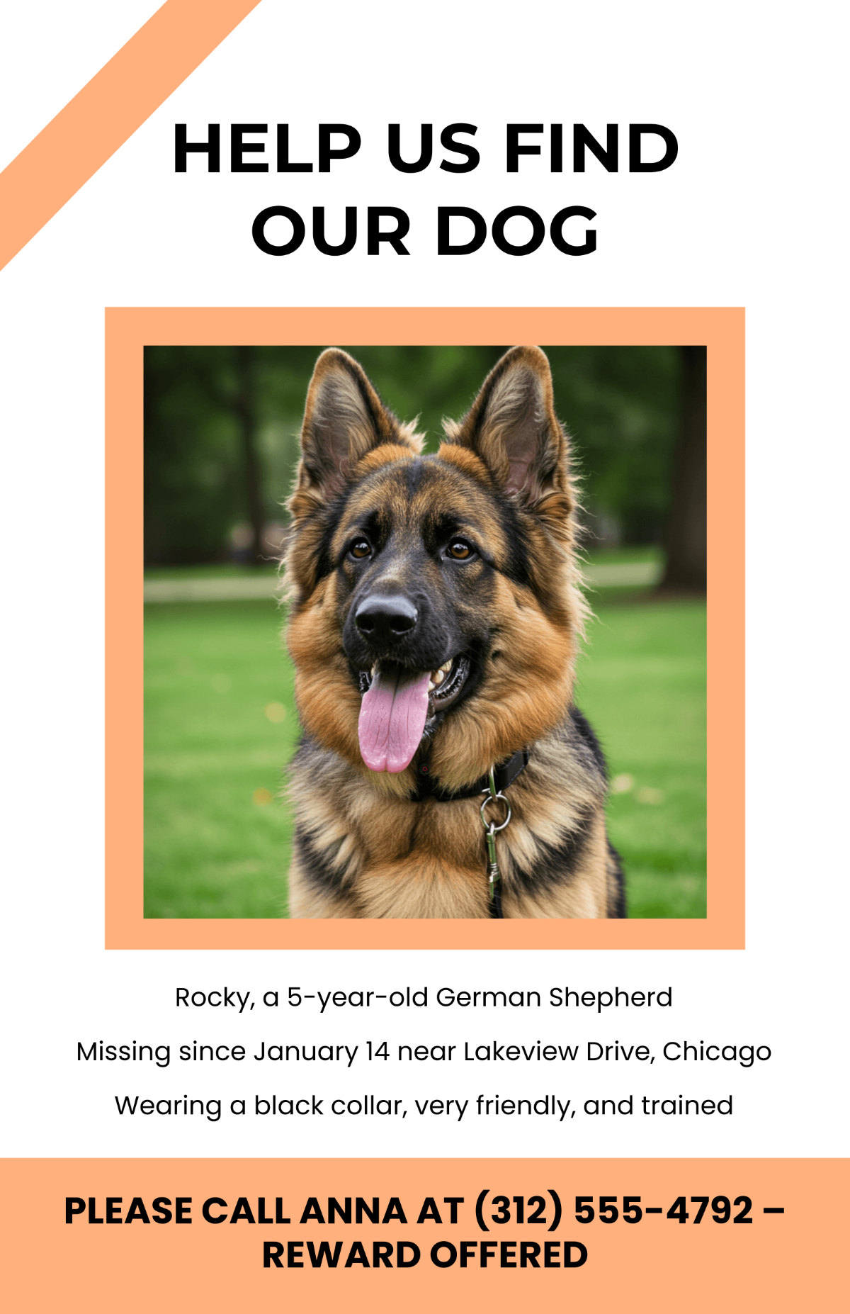 Free Help Us Lost Dog Poster Template
