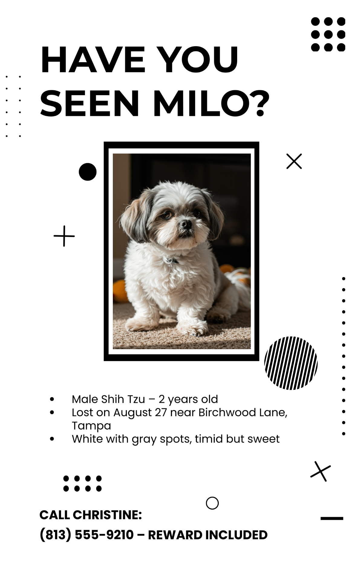 Free Modern Abstract Lost Dog Poster Template
