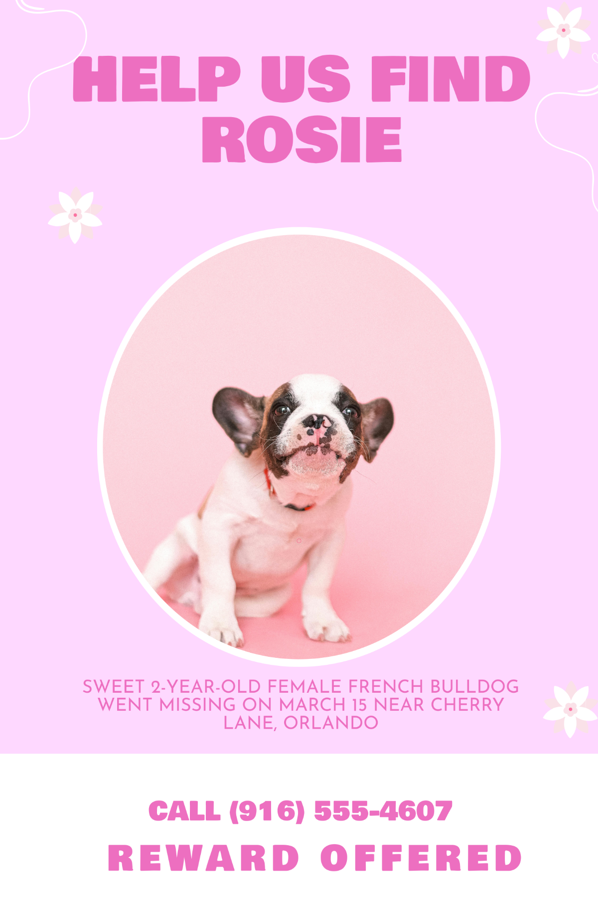 Free Pink Female Dog Lost Poster Template