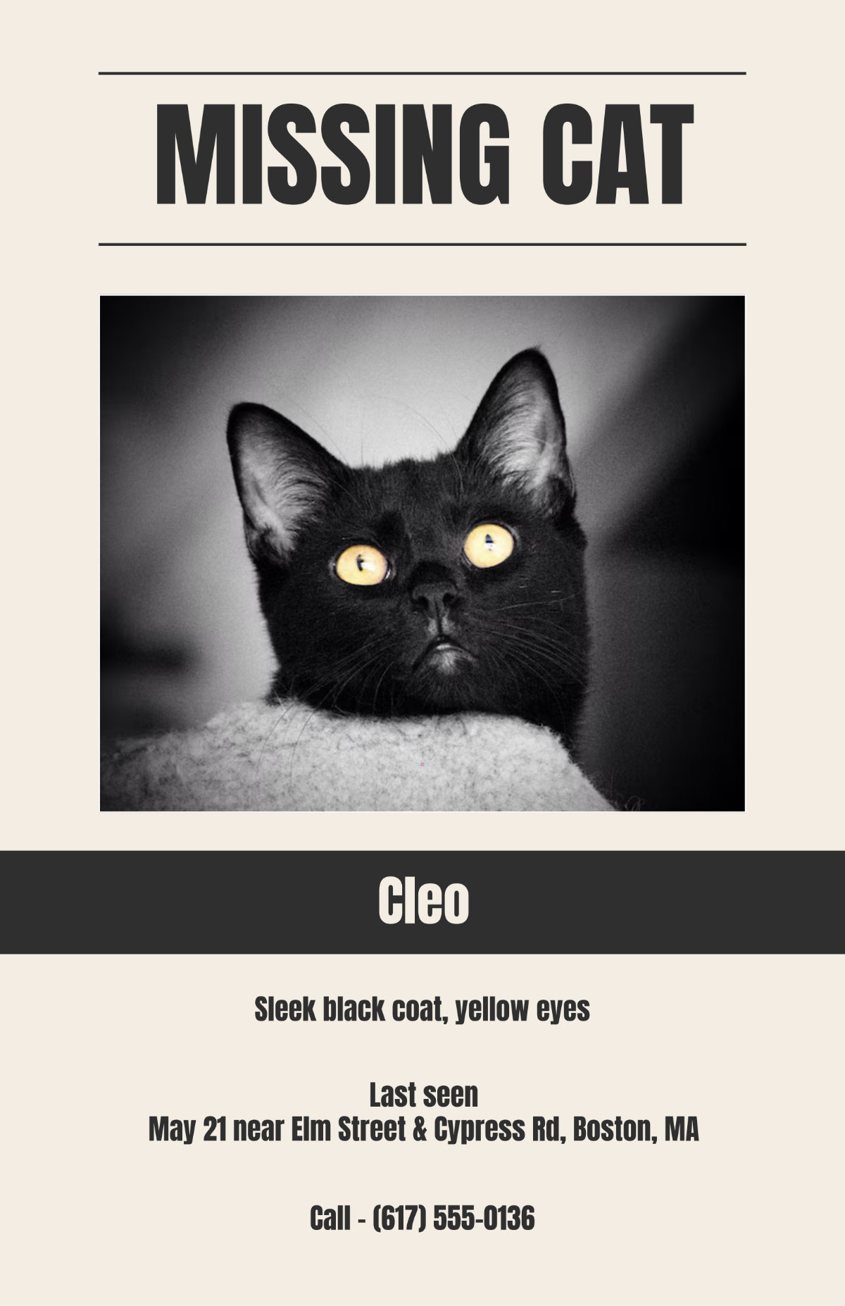 Free Cat Lost Poster Templates To Edit Online