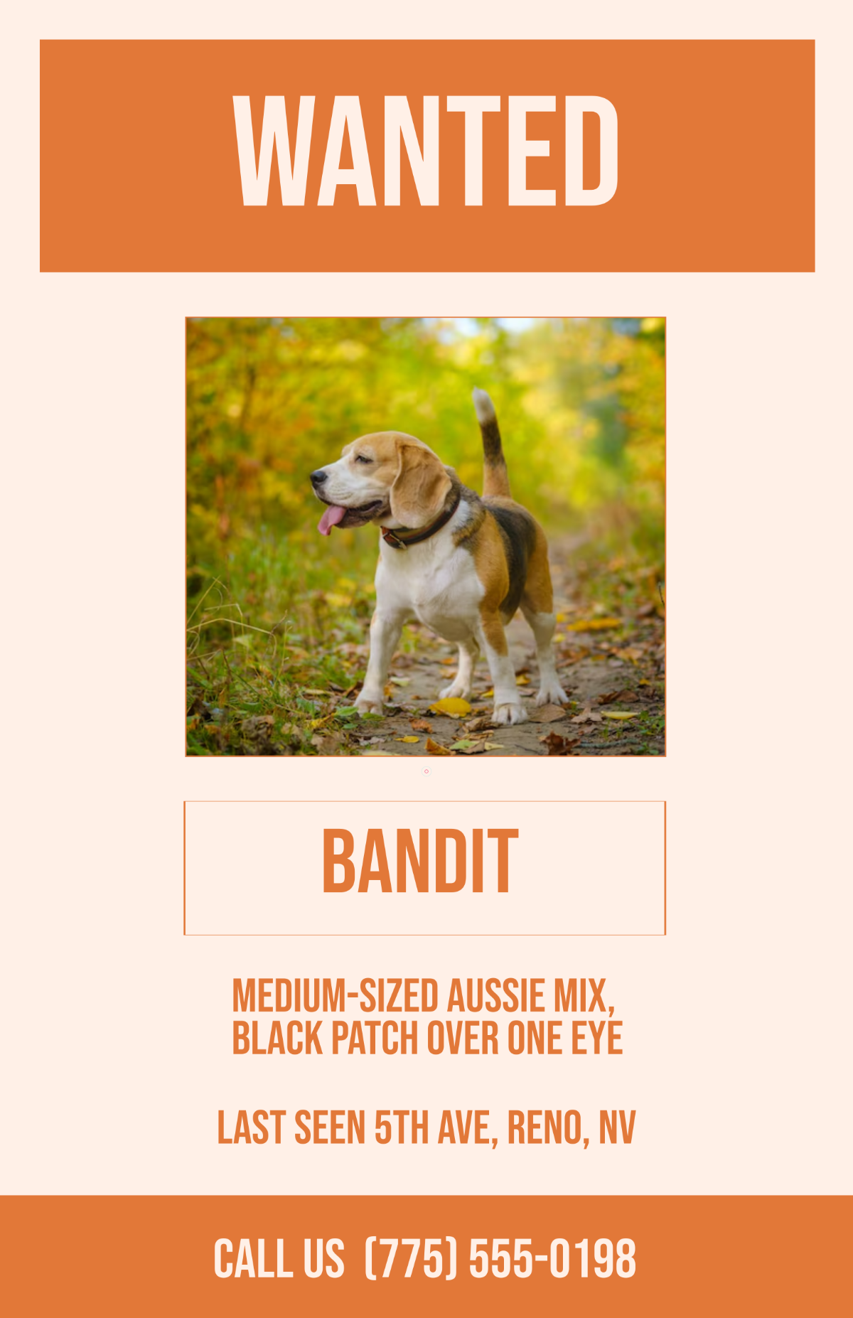 Free Wanted Dog Lost Poster Template