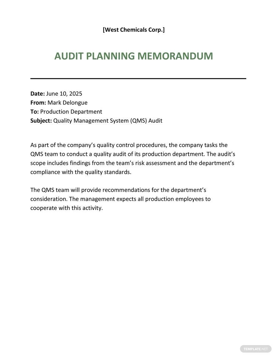 Audit Planning Memo Template