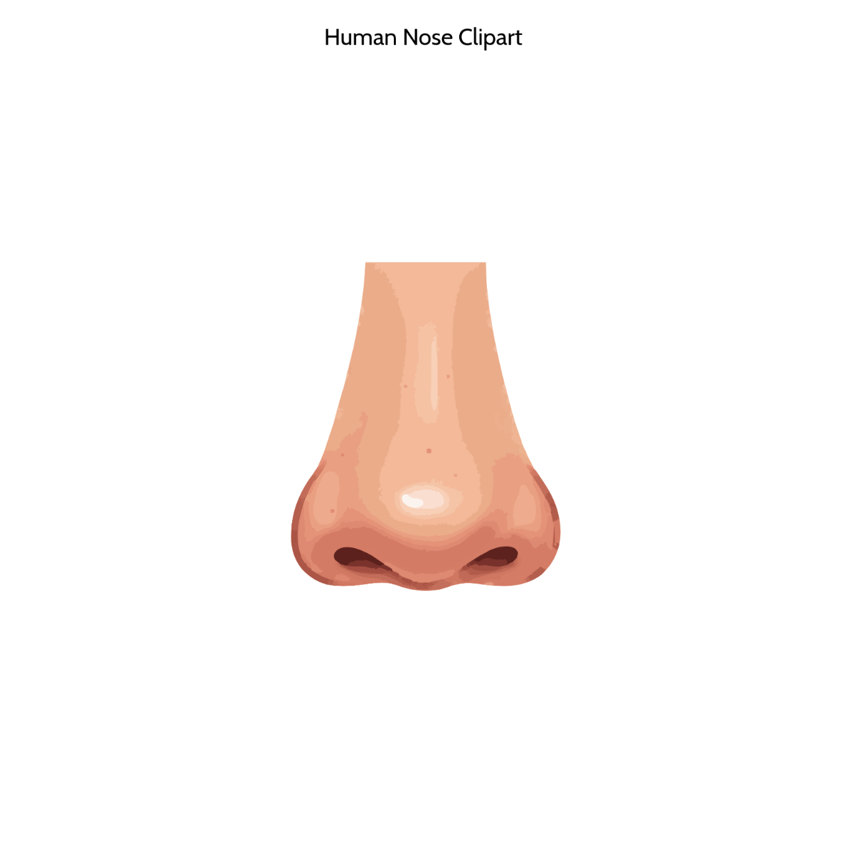 Free Human Nose Clipart to Edit Online