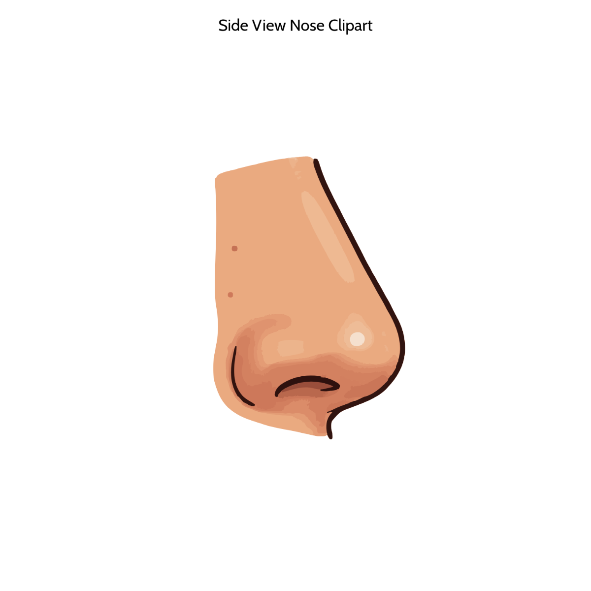 Free Side View Nose Clipart Template to Edit Online