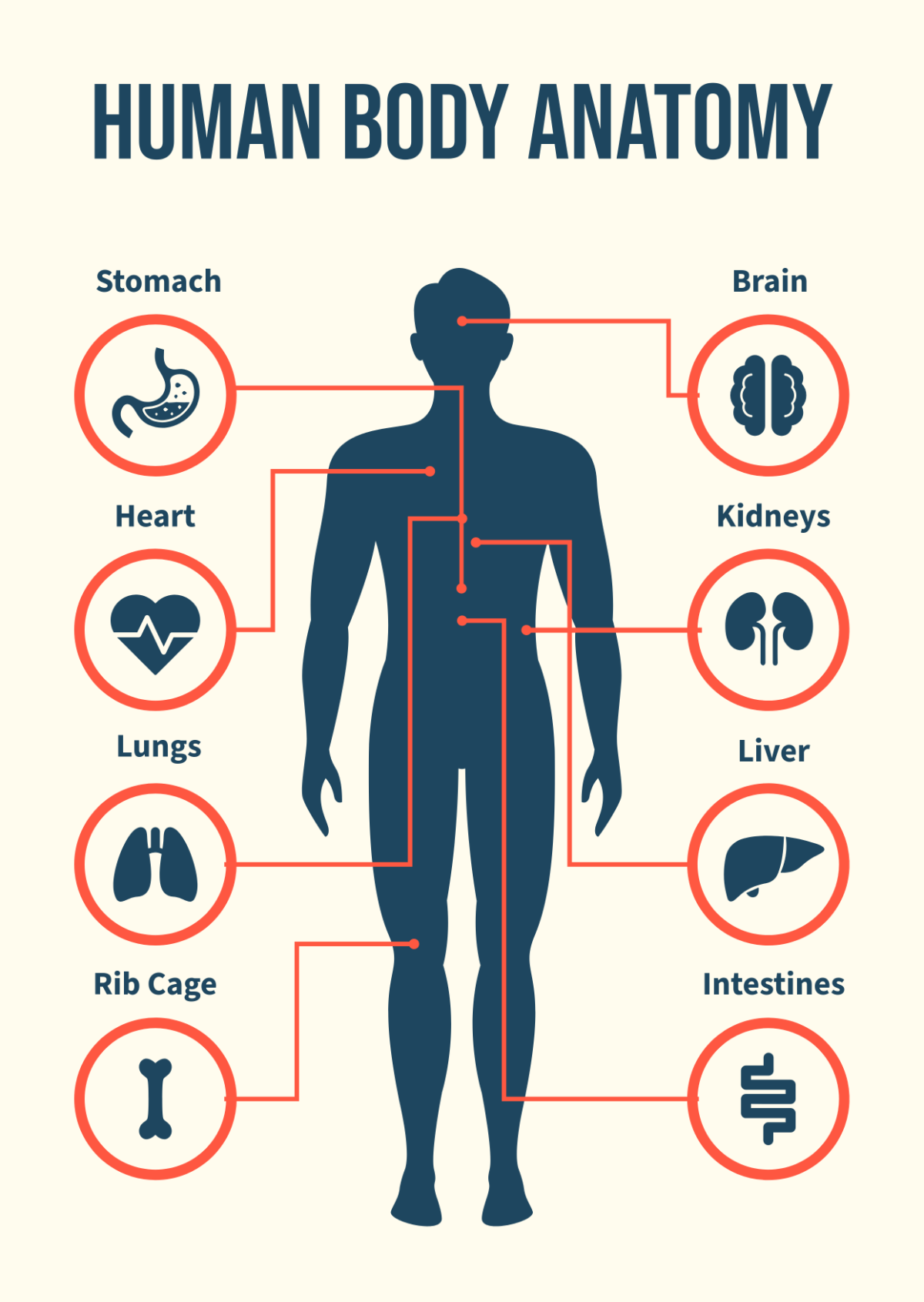 Free Nurse Anatomy Diagram Template