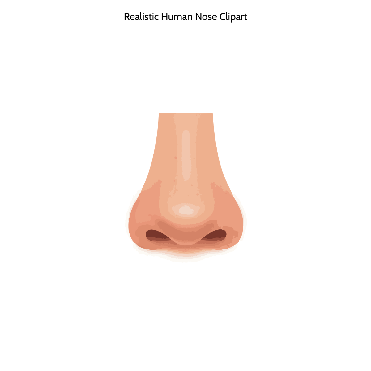 Free Realistic Human Nose Clipart Template to Edit Online
