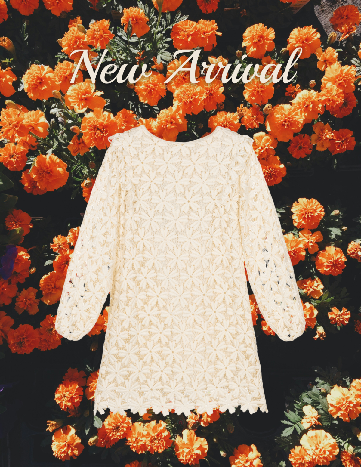 Free Orange Floral Photo Template