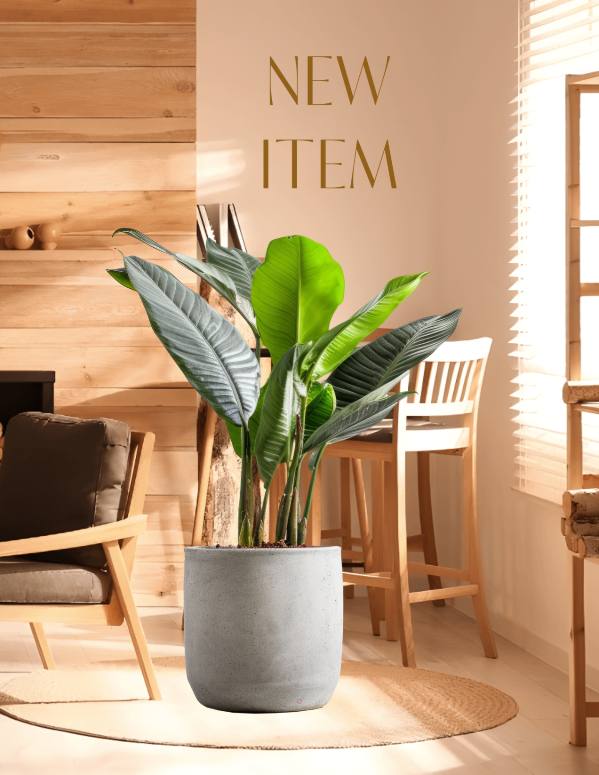 Free Simple Wooden Interior Photo Template