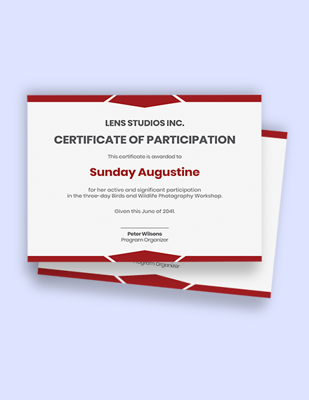 15-workshop-certificate-word-templates-free-downloads-template