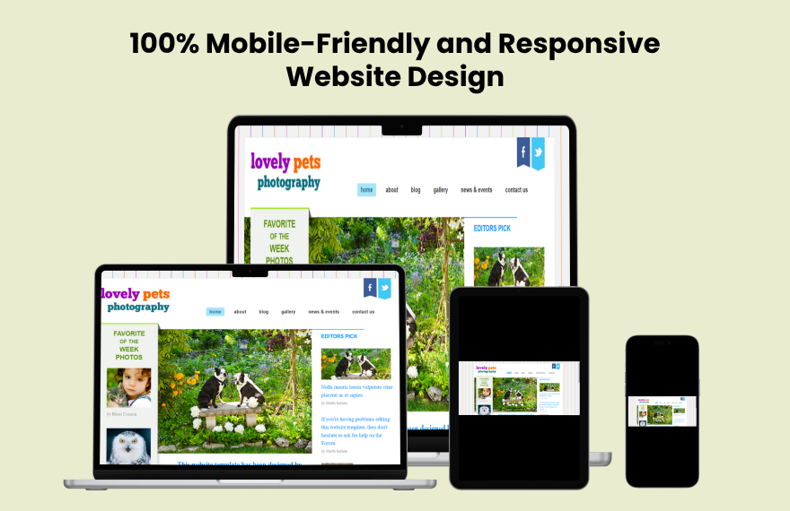 Free Photography PHP Website