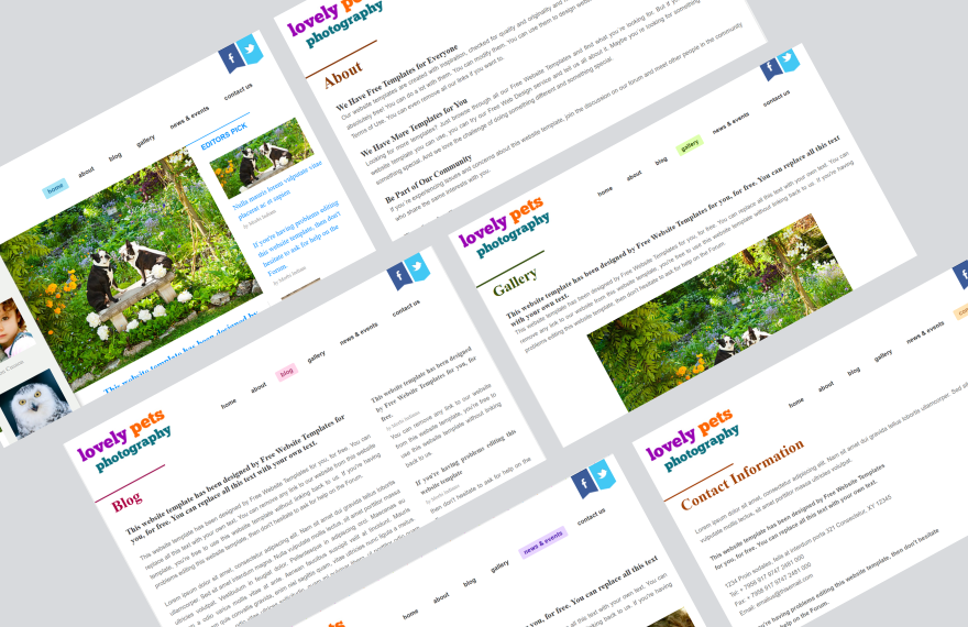 Free Photography PHP Website