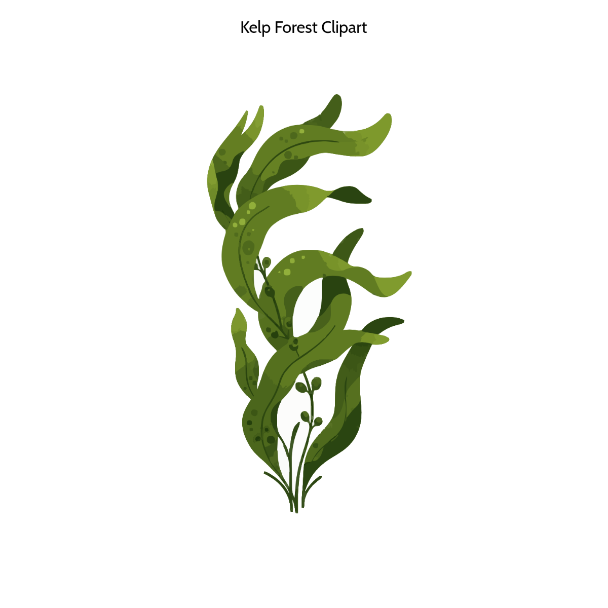 Free Kelp Forest Clipart Template