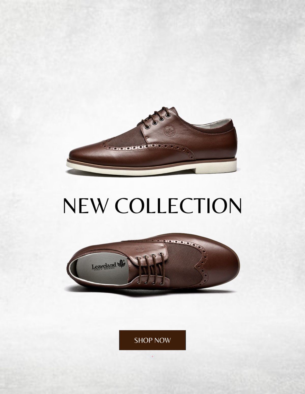 Free Retro Shoe Photo Template