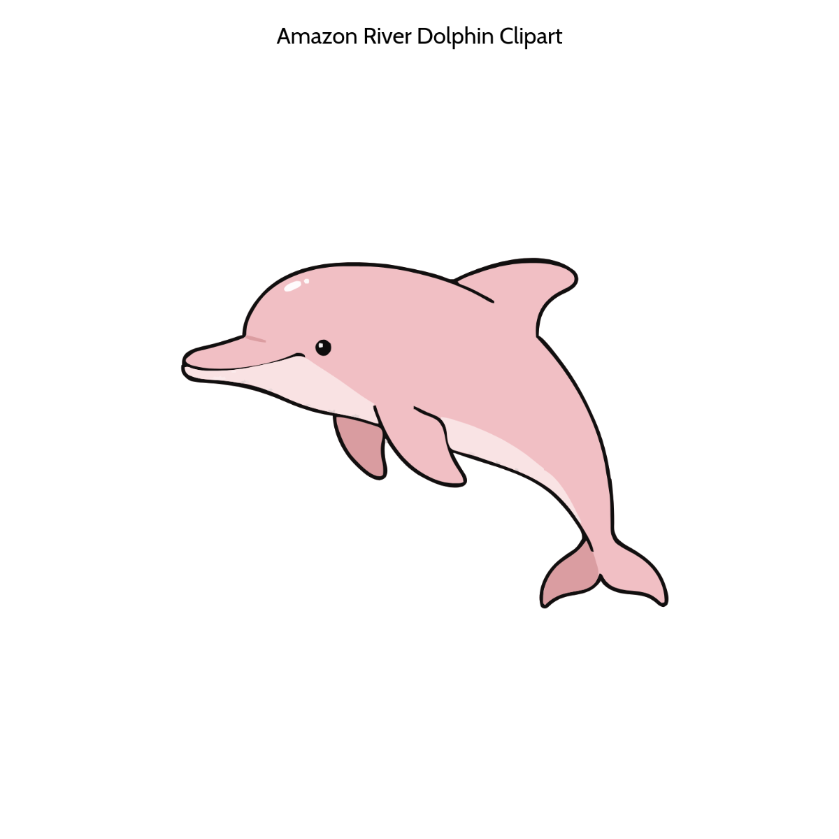 Free Amazon River Dolphin Clipart Template
