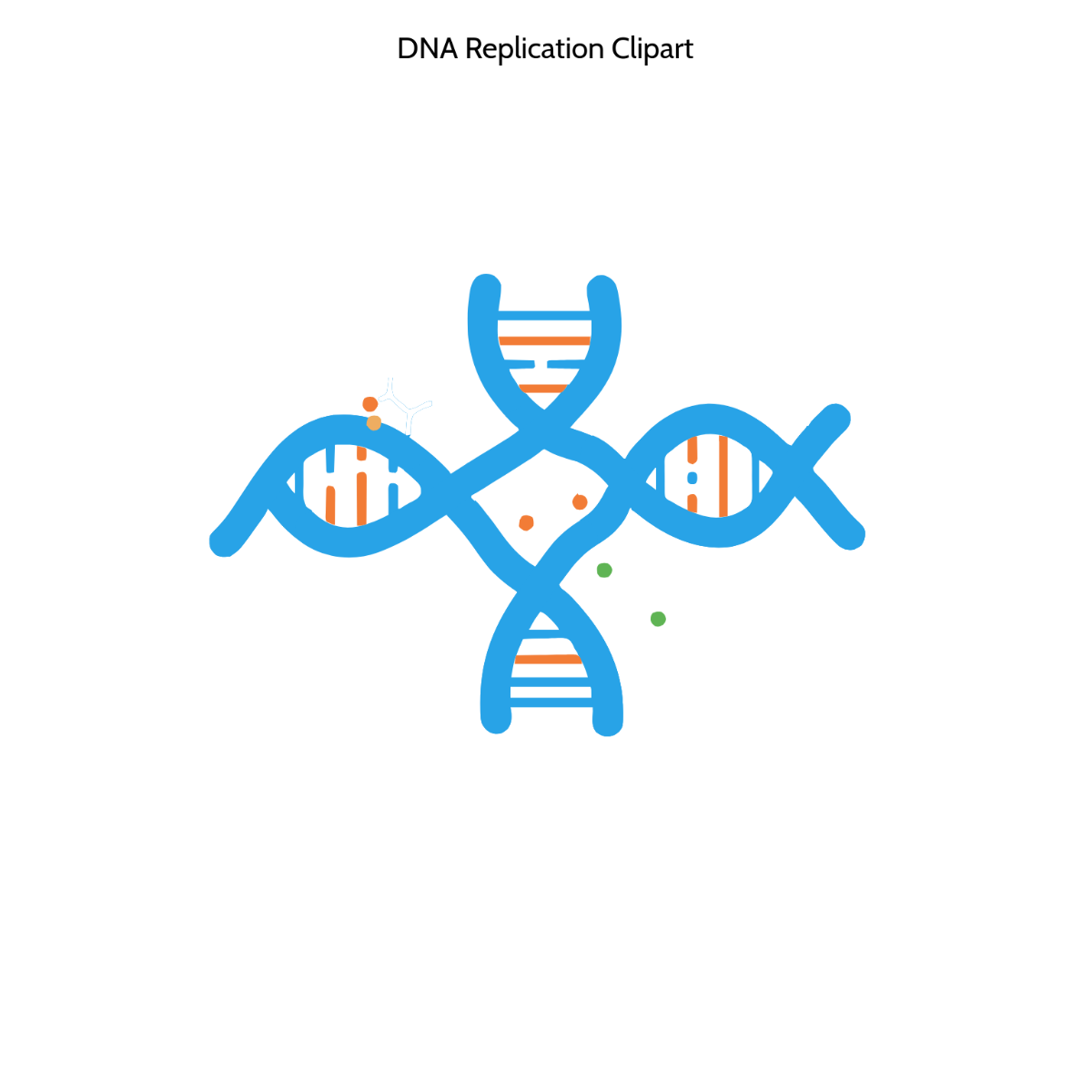 Free DNA Replication Clipart Template to Edit Online