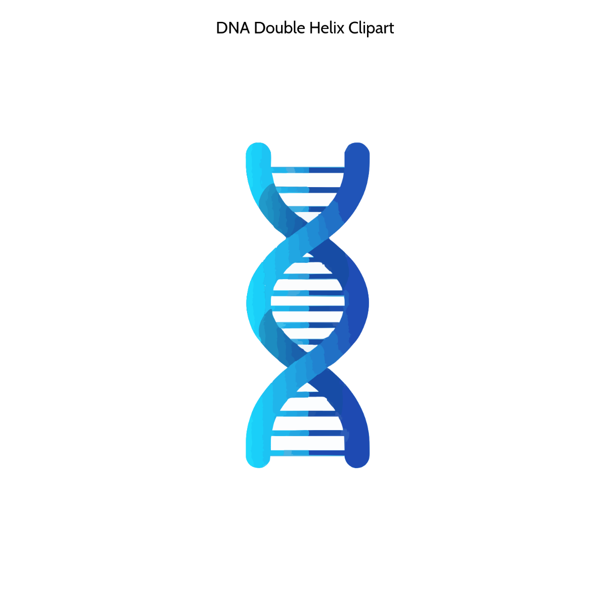 Free DNA Double Helix Clipart Template