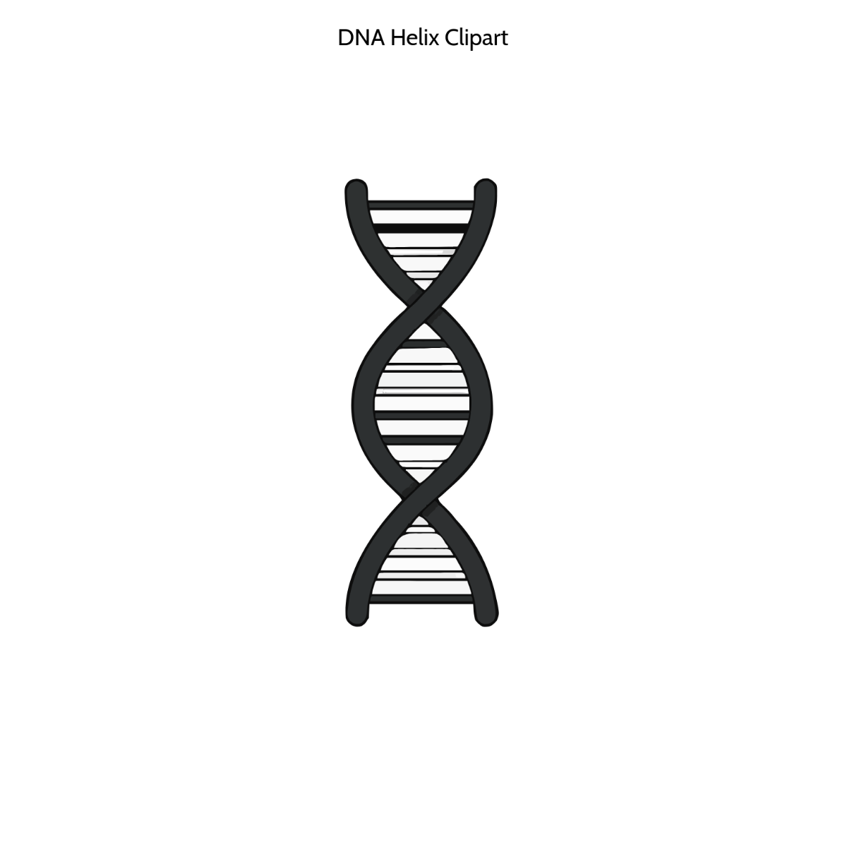 Free DNA Helix Clipart Template