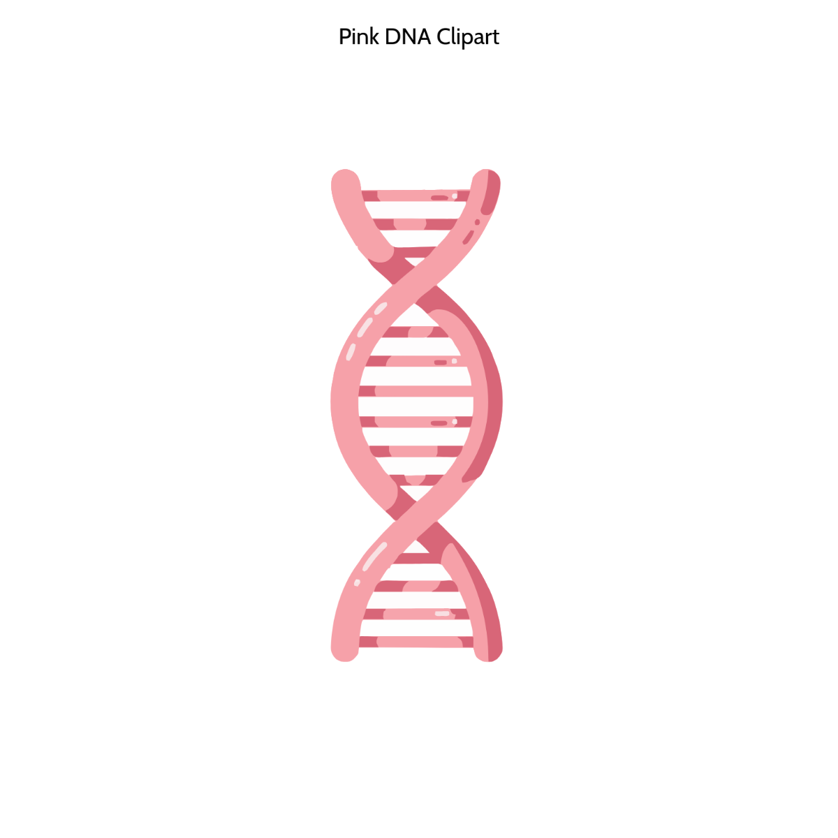 Free Pink DNA Clipart Template