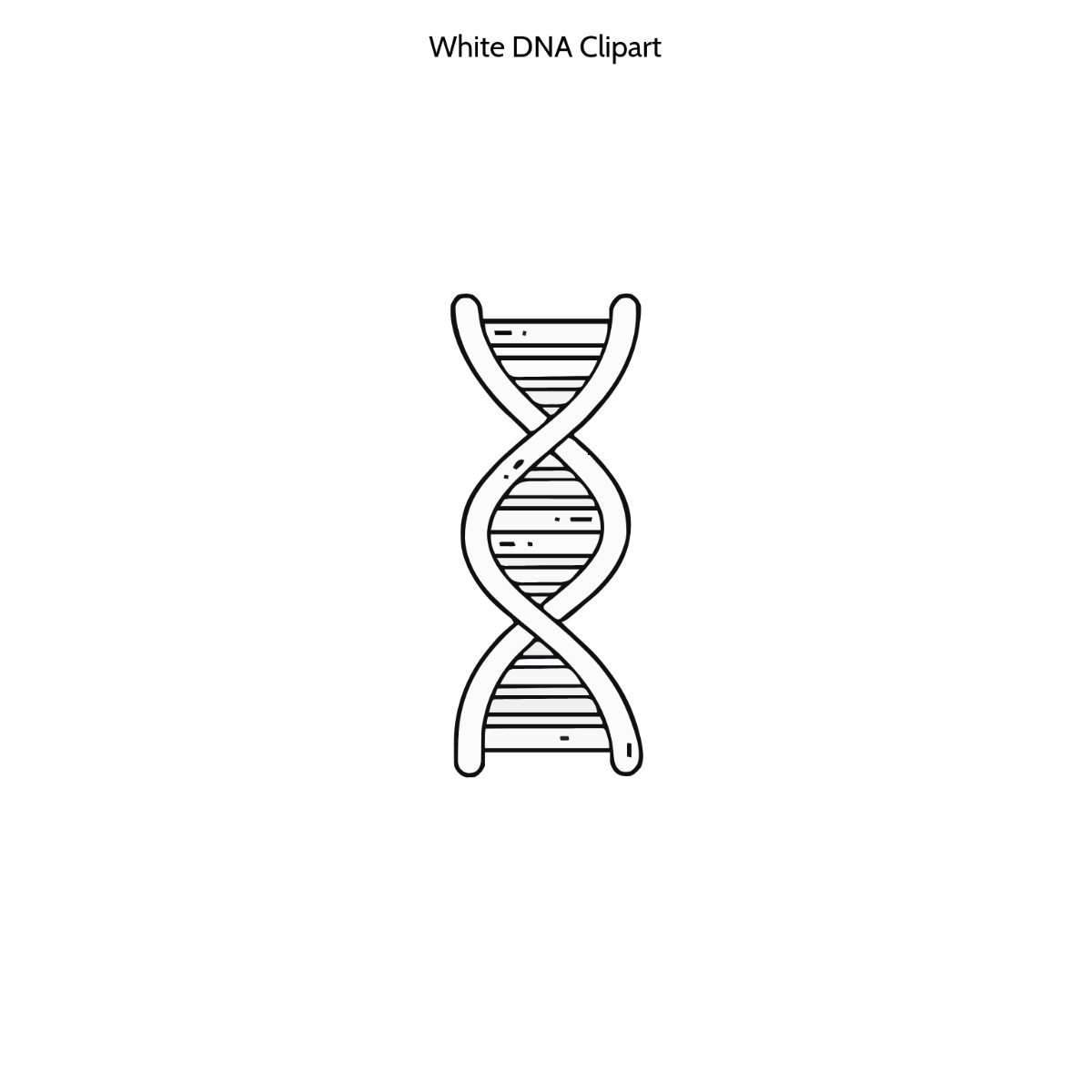 Free White DNA Clipart Template