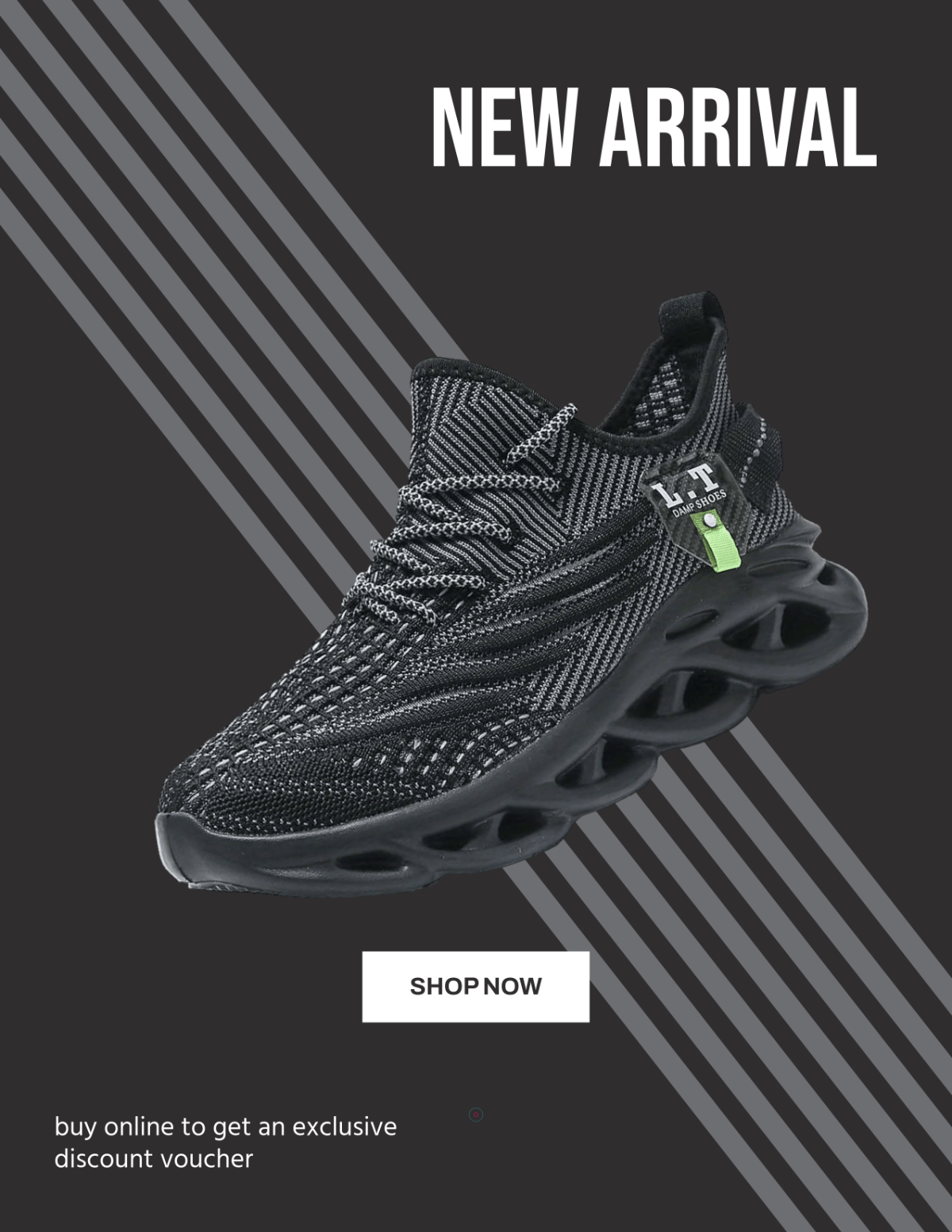 Free Stylish Shoe Photo Template