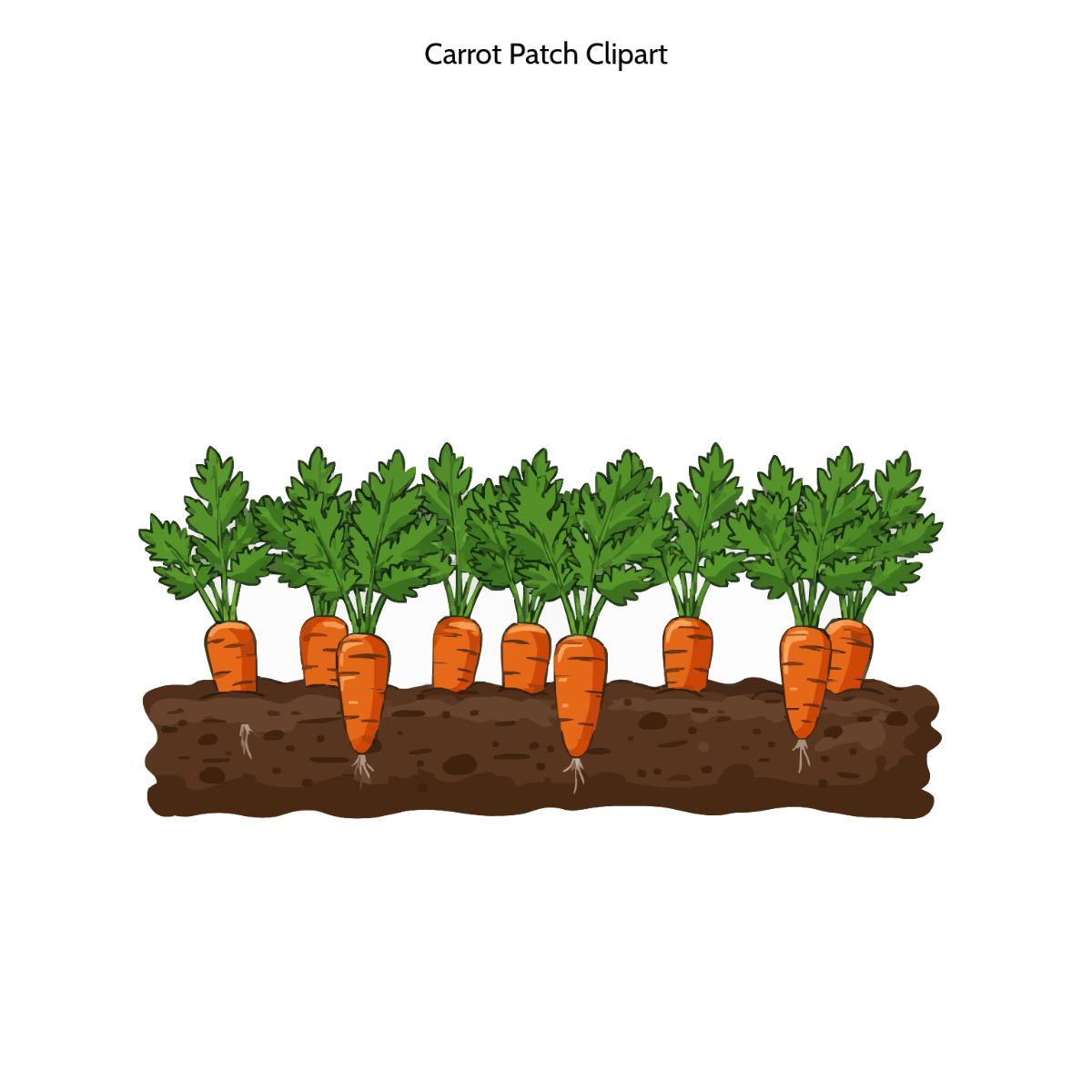 Free Carrot Patch Clipart Template