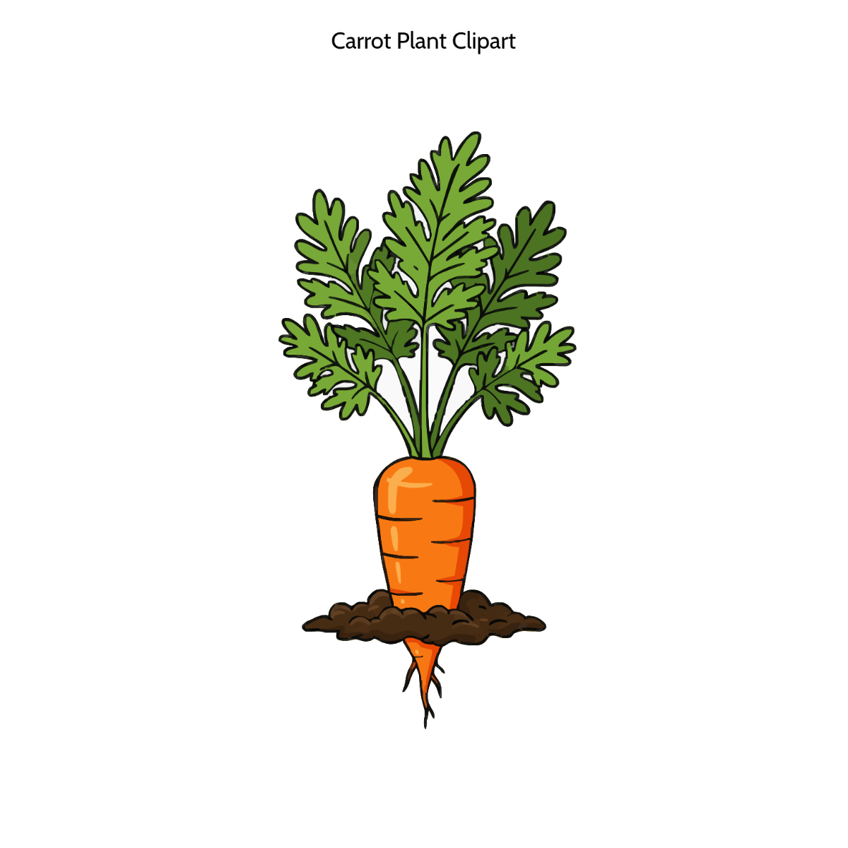 Free Carrot Plant Clipart Template