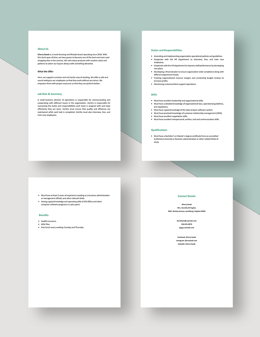 Small Business Director Of Operations Job Description Template Google 