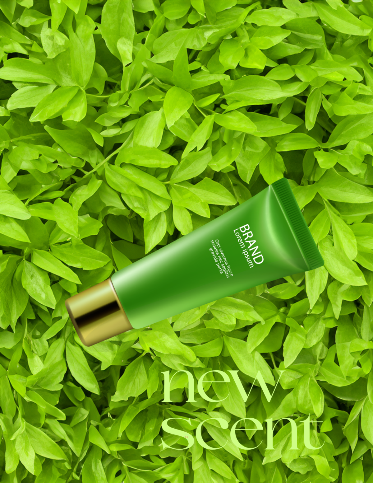 Free Leafy Design Flatlay Photo Template to Edit Online