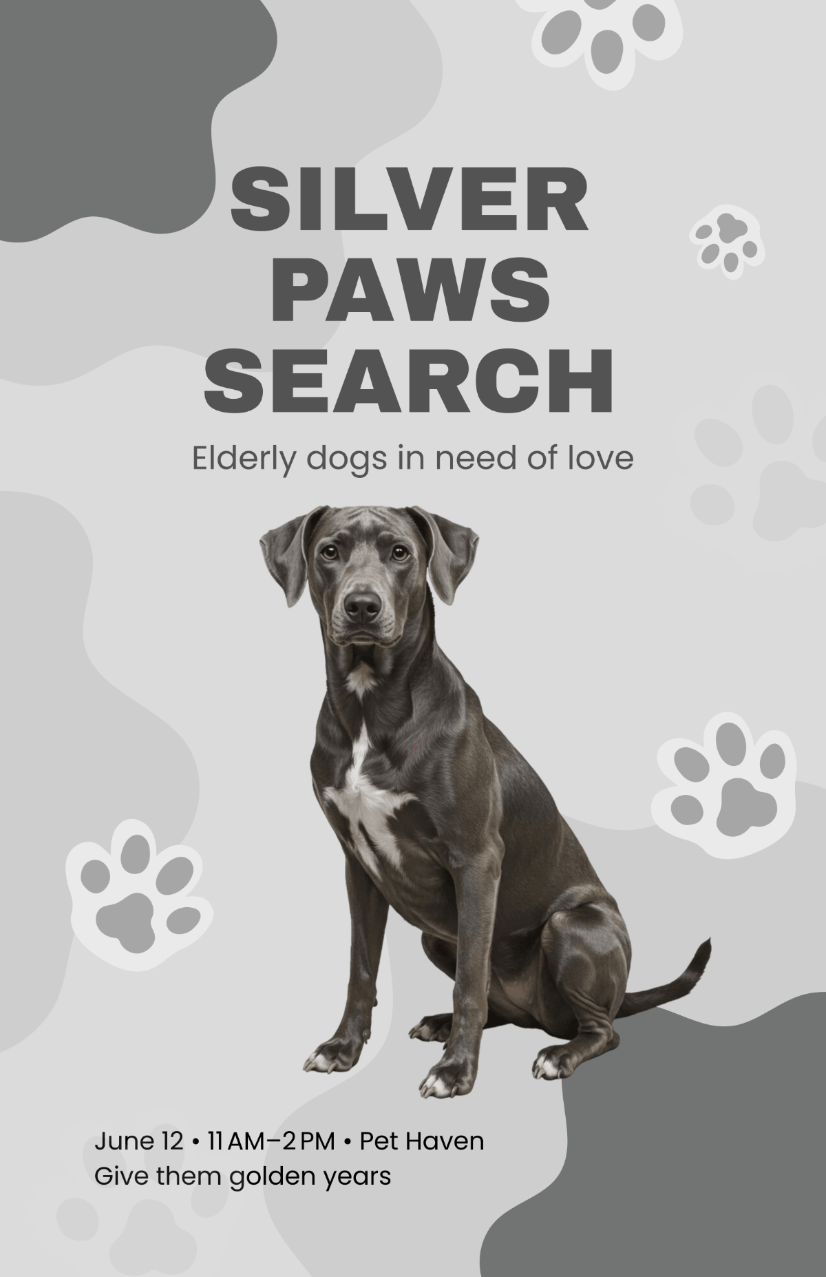 Free Gray Dog Adoption Ad Poster Template to Edit Online