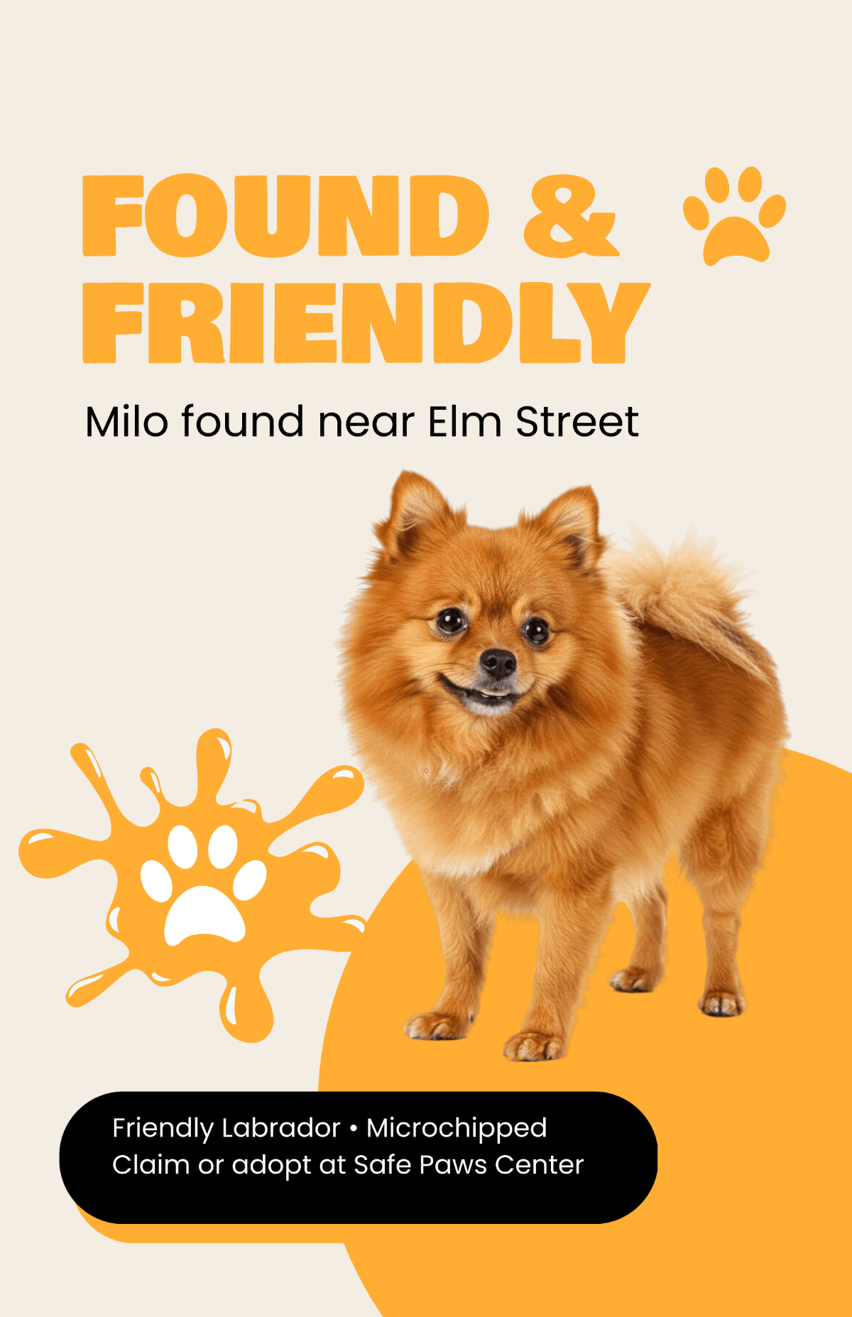 Free Lost Dog Adoption Poster Template to Edit Online