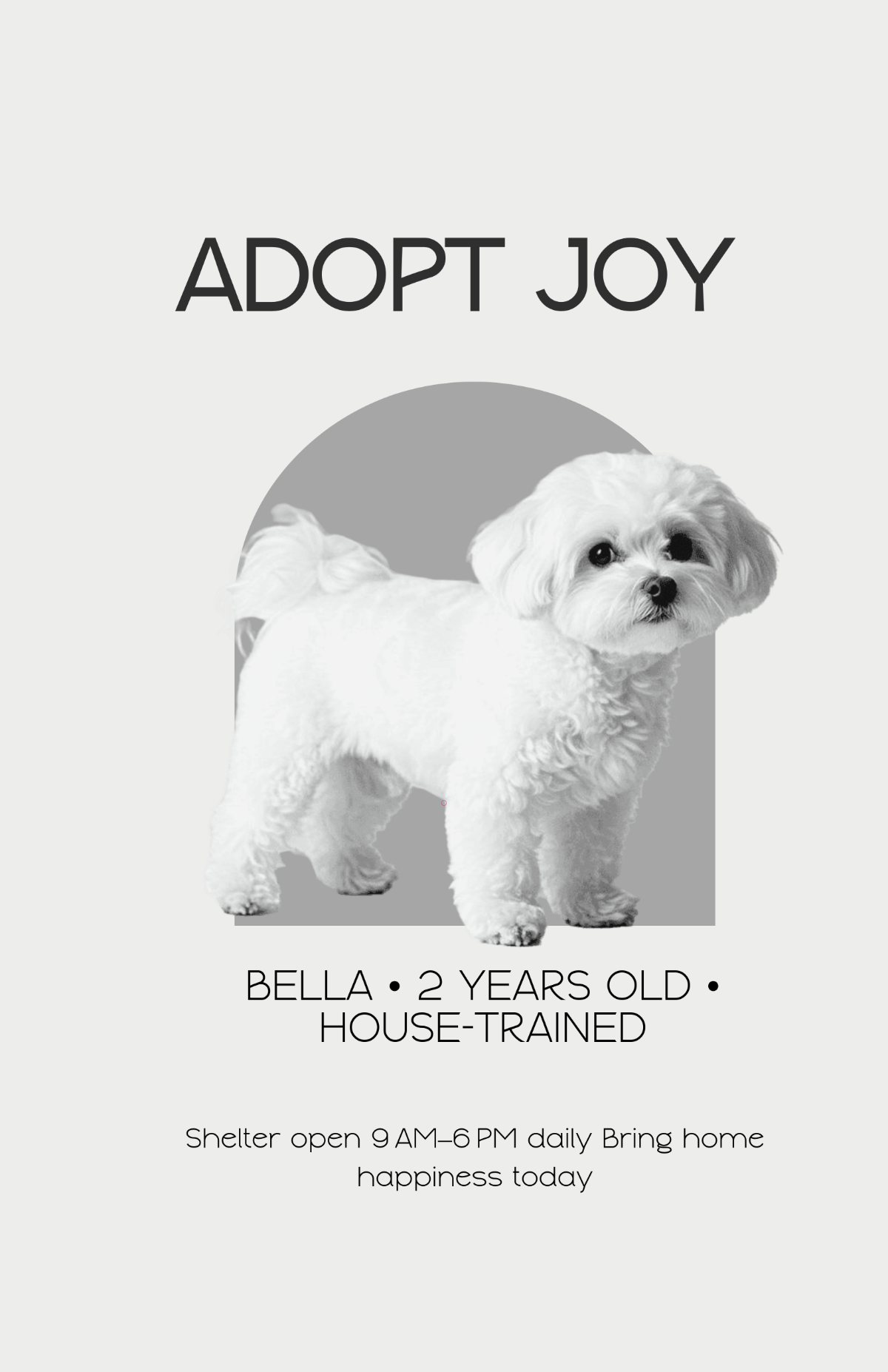 Free Minimalist Dog Adoption Poster Template to Edit Online