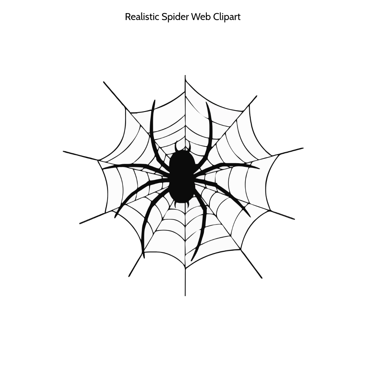 Realistic Spider Web Clipart
