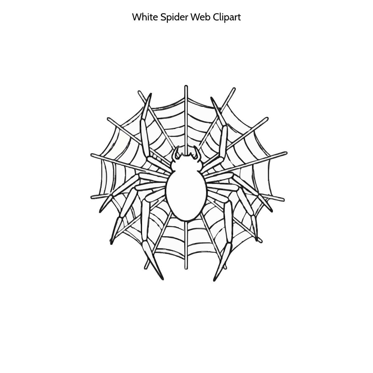White Spider Web Clipart