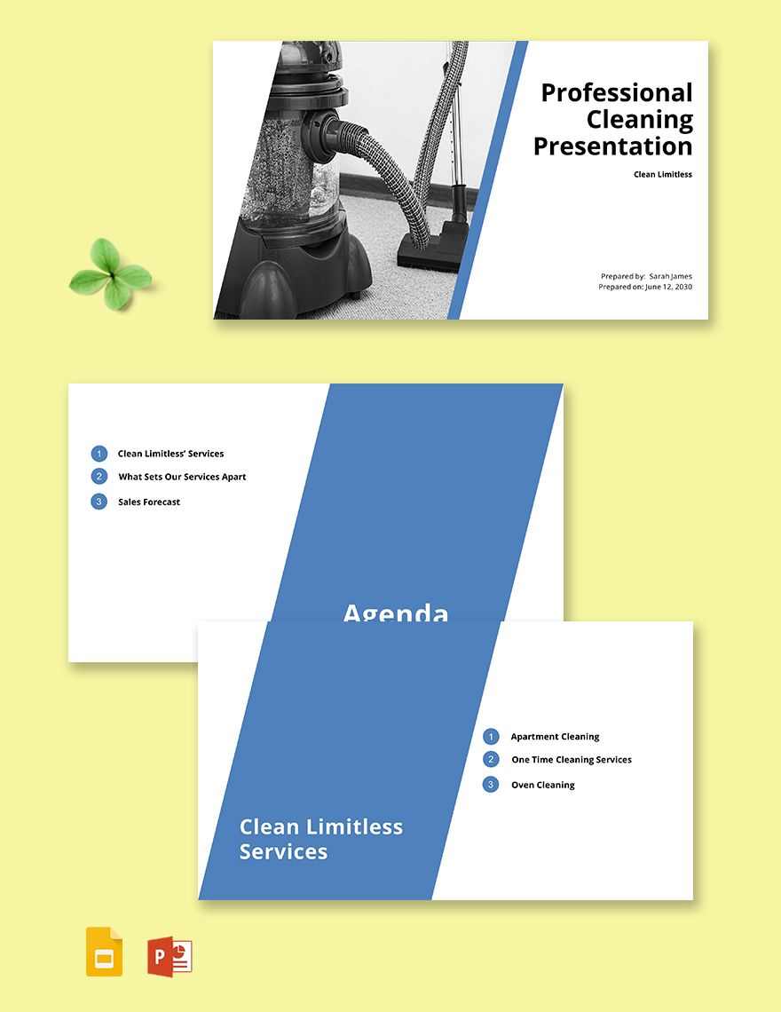 Free Professional Cleaning Services Presentation Template