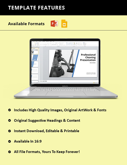 Free Professional Cleaning Services Presentation Template to Edit Online