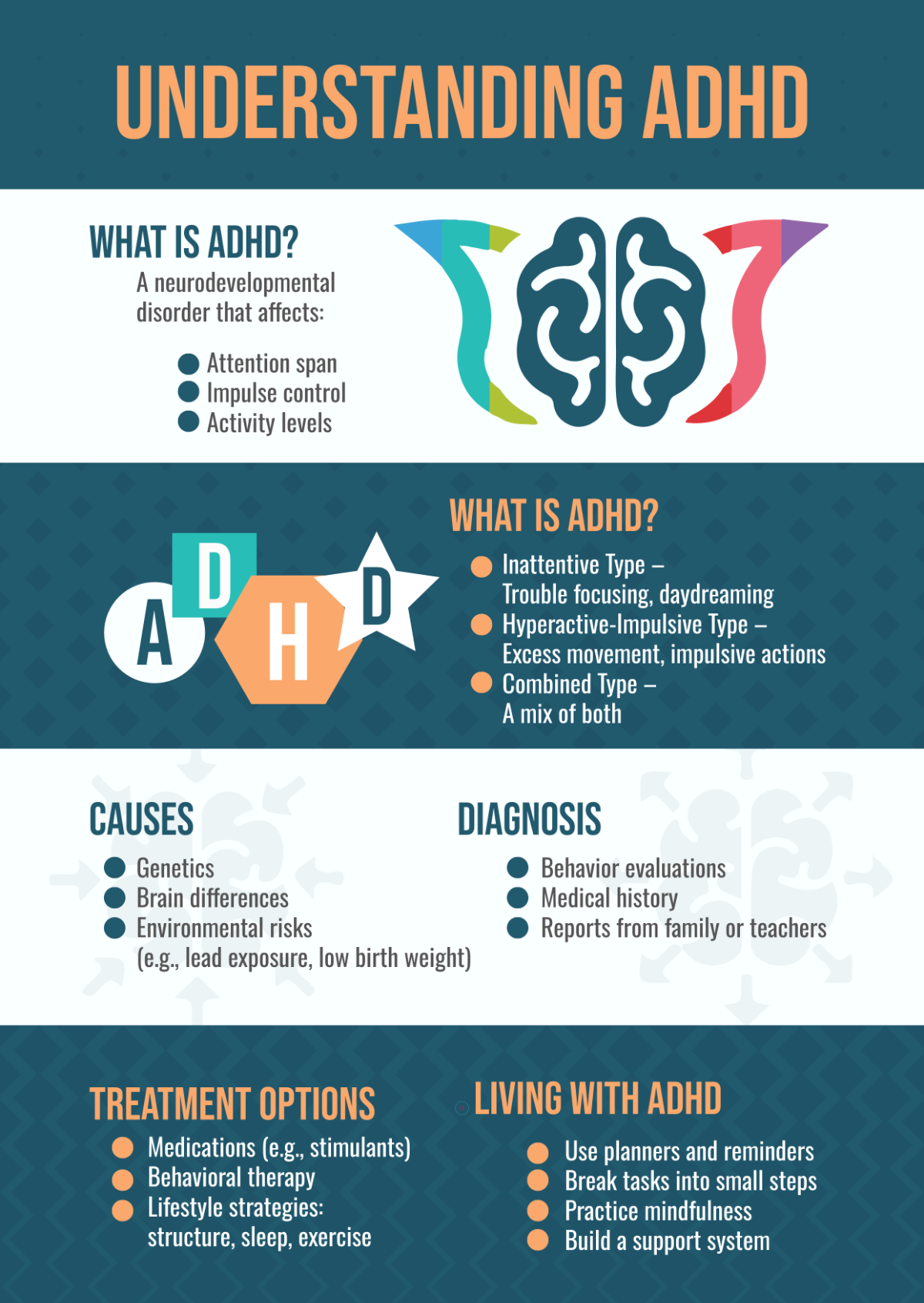 ADHD Infographic Template