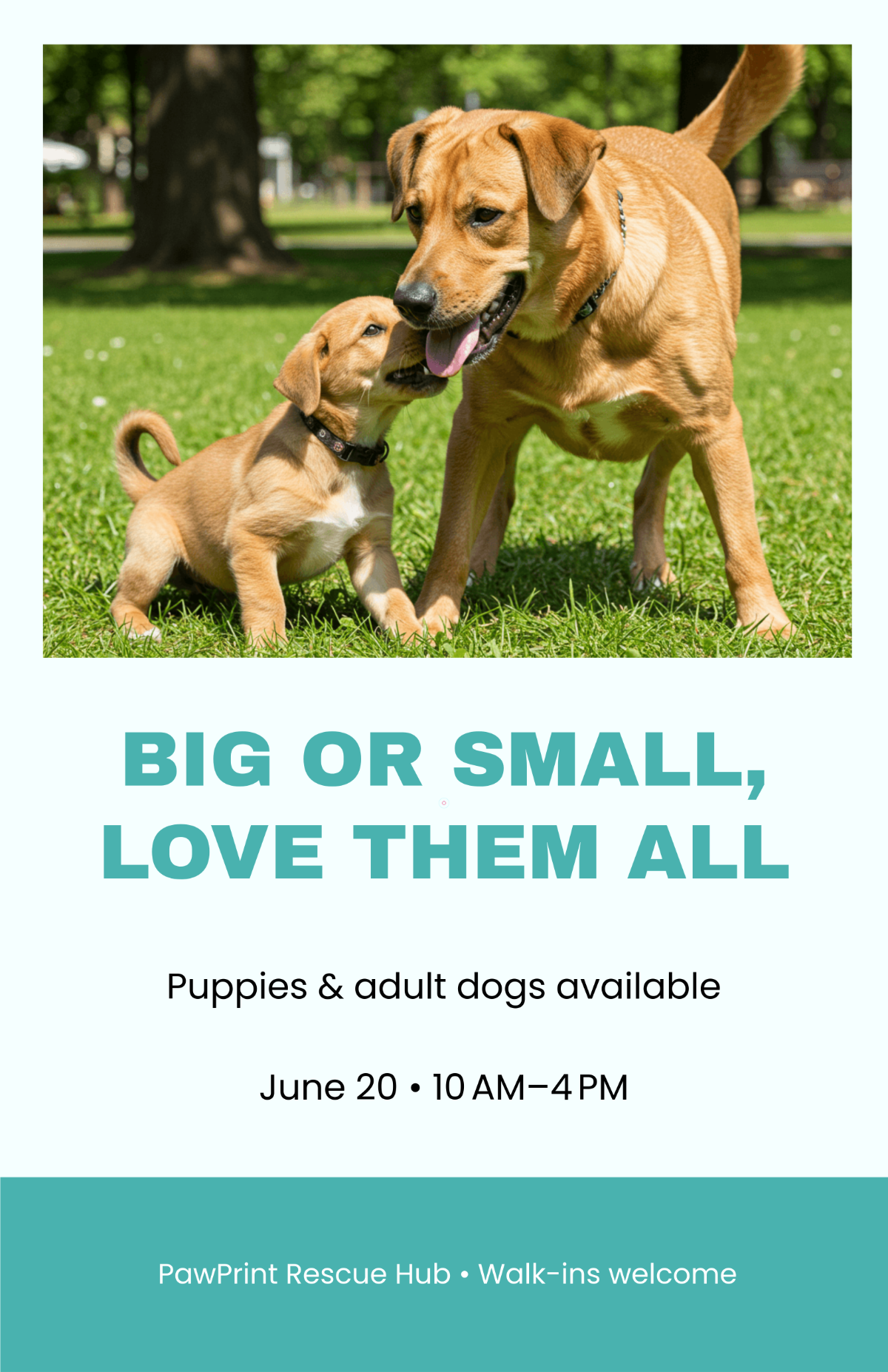 Free Dog and Puppy Adoption Poster Template to Edit Online