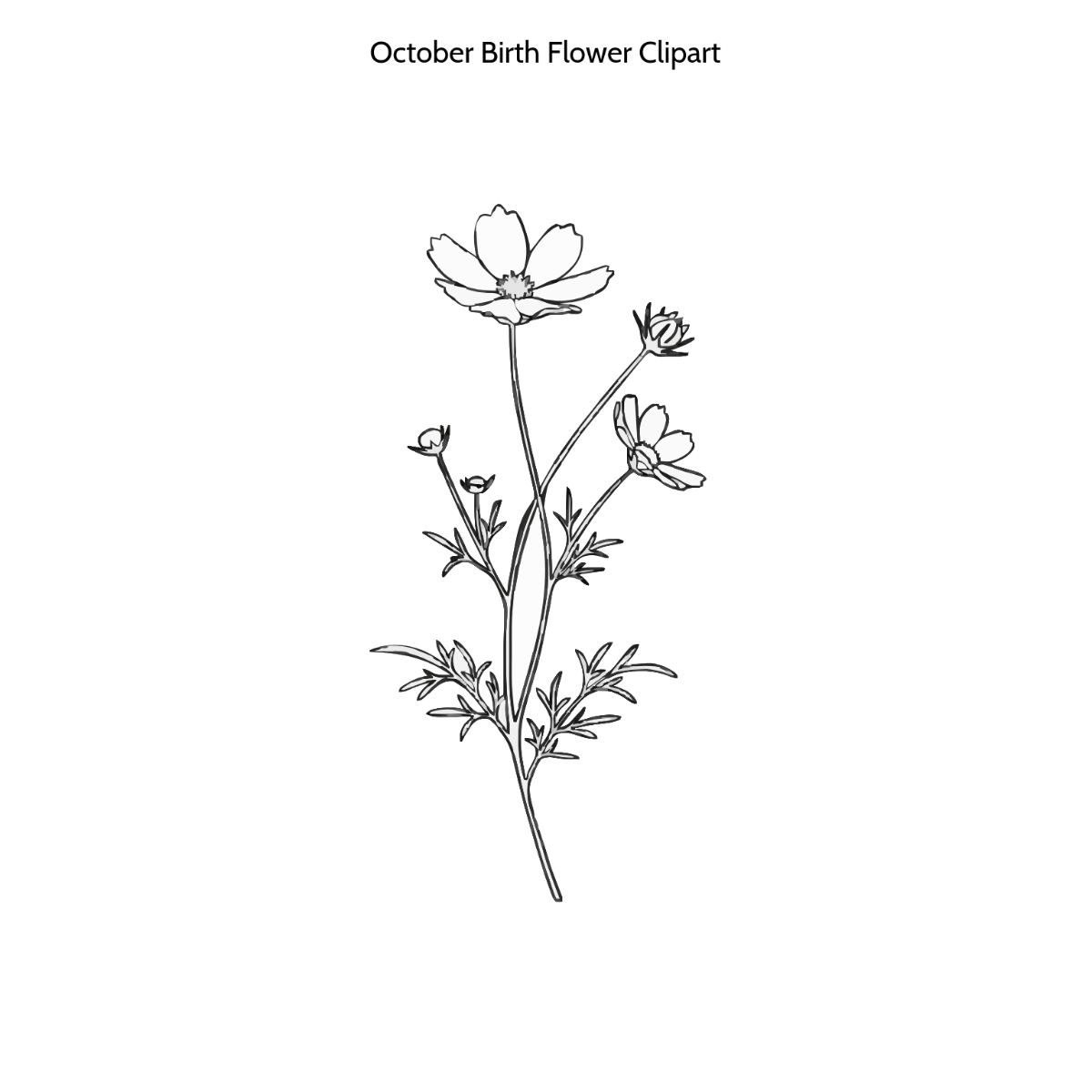 Free October Birth Flower Clipart to Edit Online