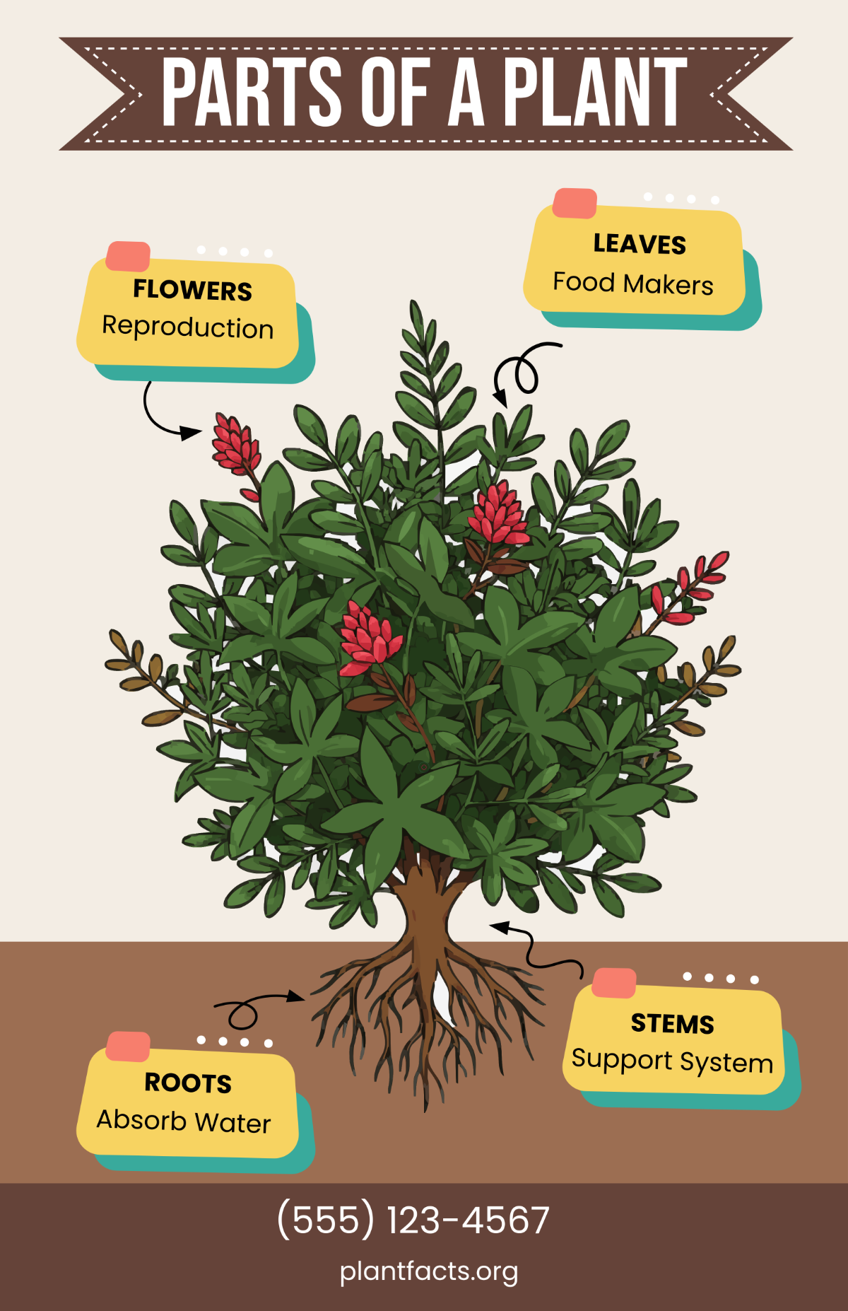 Scientific Informational Poster Template