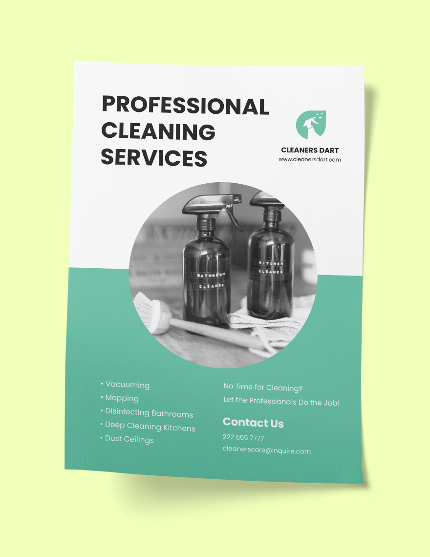 Professional Cleaning Services Poster Template