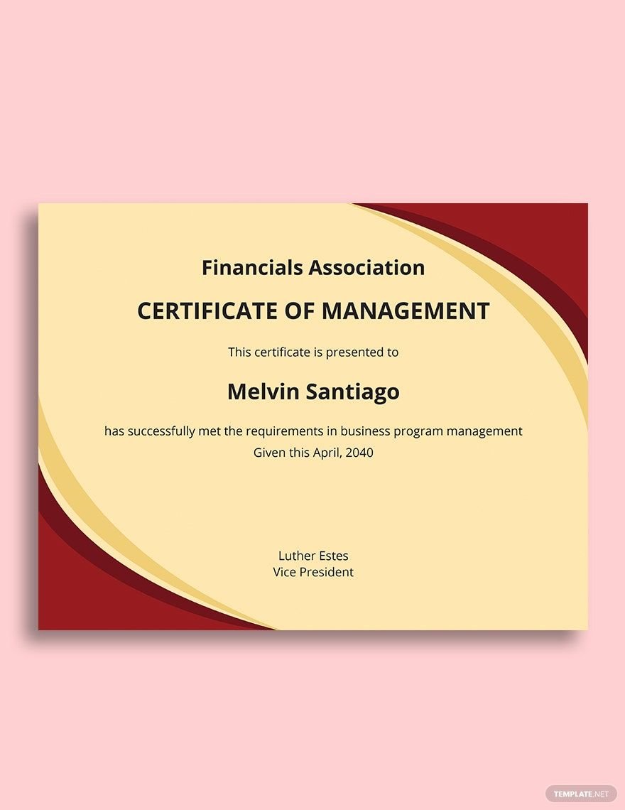 Business Program Management Certificate Template in Word, Google Docs, Apple Pages, Publisher