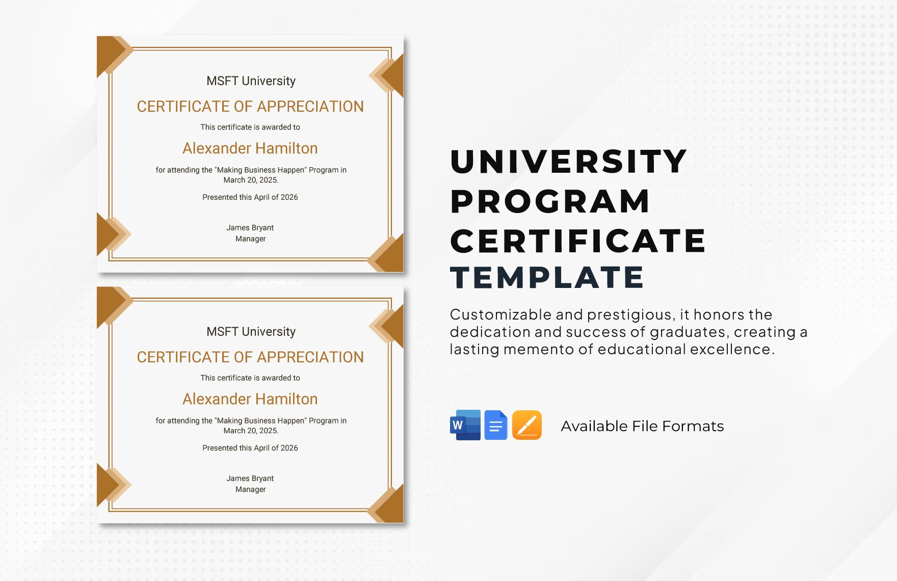 University Program Certificate Template