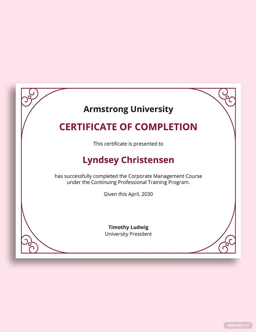 University Degree Certificate