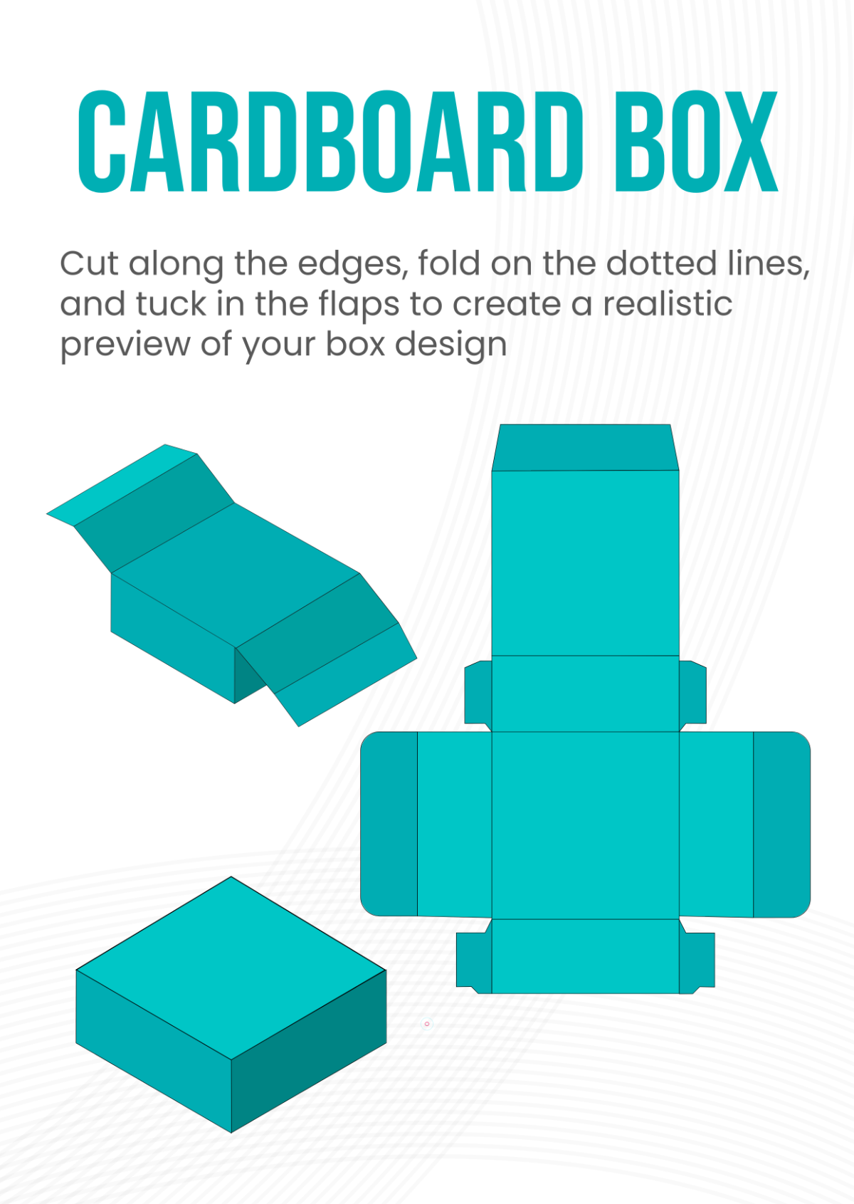 Editable Cardboard Mockup Template
