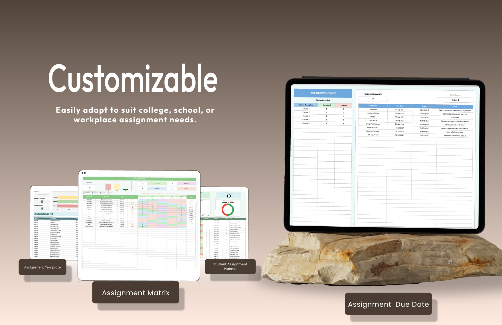 20+ Ultimate Assignment Template Bundle
