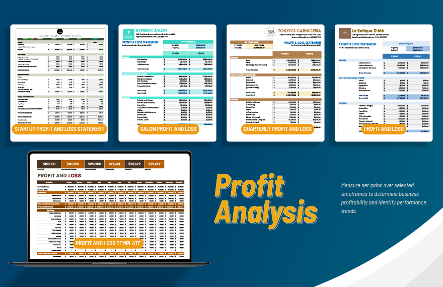 20+ Profit and Loss Template Bundle