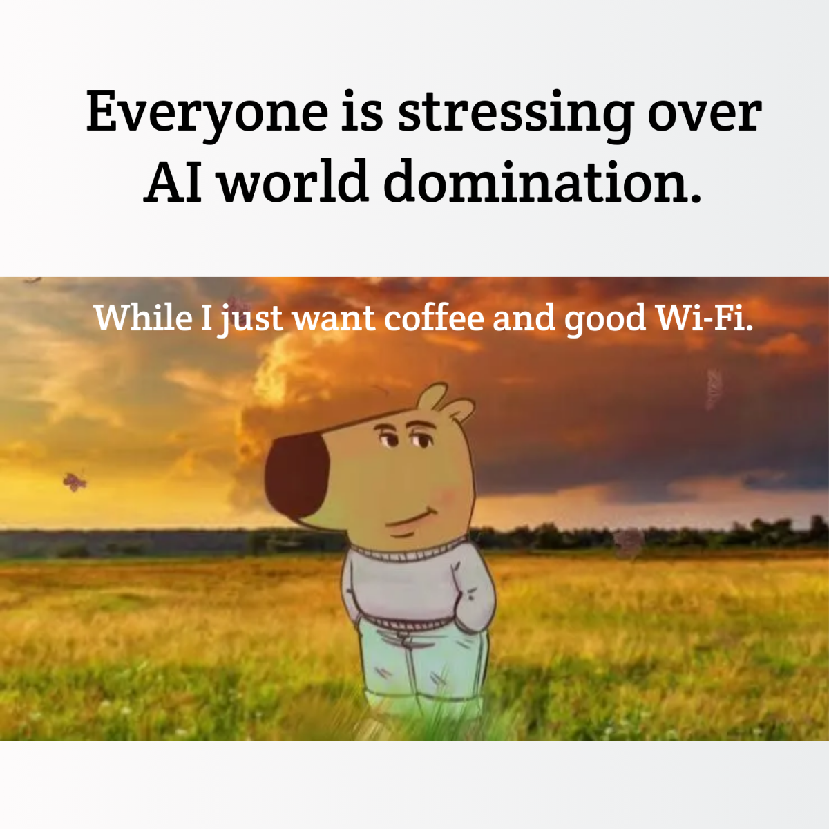 Free Chill Guy Meme Template to Edit Online