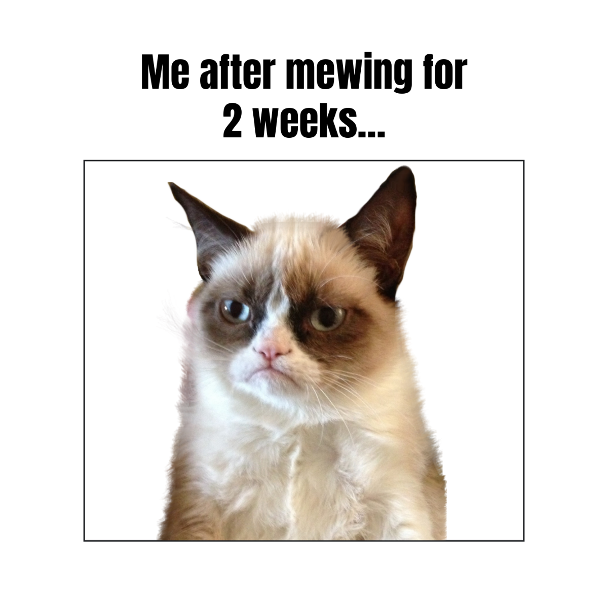 Free Mewing Meme Template to Edit Online