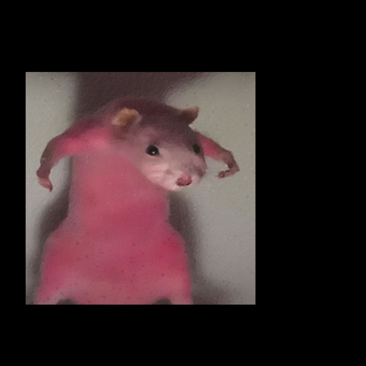 Free Hamdster Meme Template